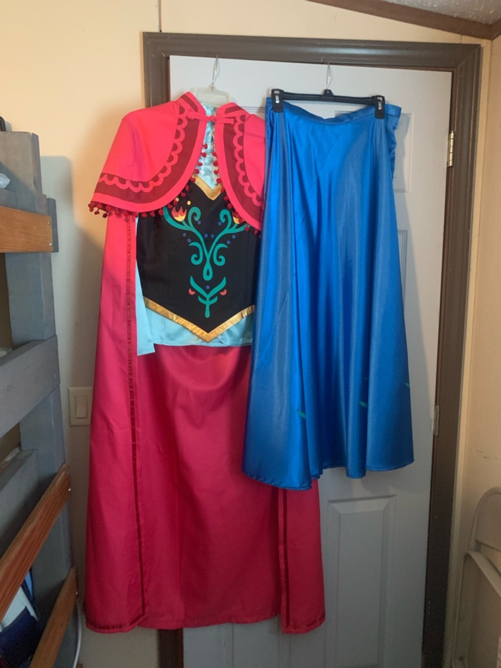 Adult Anna Cosplay Costume